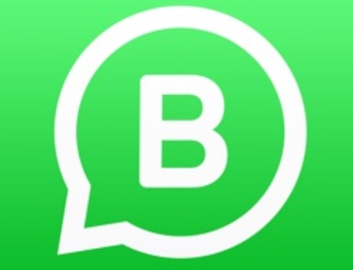 WhatsApp sul sito WEB?